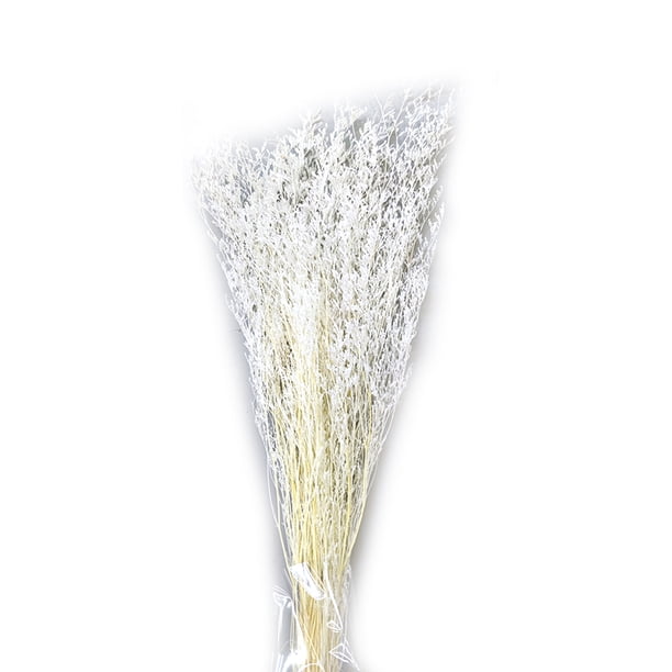 Moyic Flores secas portátiles, plantas artificiales ligeras, flores naturales, ramo de hierba seca para sala de estar, boda, hogar Decoración del hogar Blanco Moyic HA073024-02