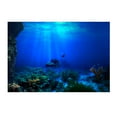 thumbnail image 1 of LOVIVER PVC Waterproof Single Side Landscape Bowl Aquarium Sticker Glass for Marine 122x61cm, 1 of 8