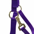 thumbnail image 3 of Jeffers Equine Horse Halter w/ Throat Snap, Purple -Durable 3 Ply Nylon, Adjustable Chin Strap, Durable Hardware, Comfortable Fit, Equestrian Tack for Training, Grooming, Leading - Arabian 500-800lb, 3 of 4