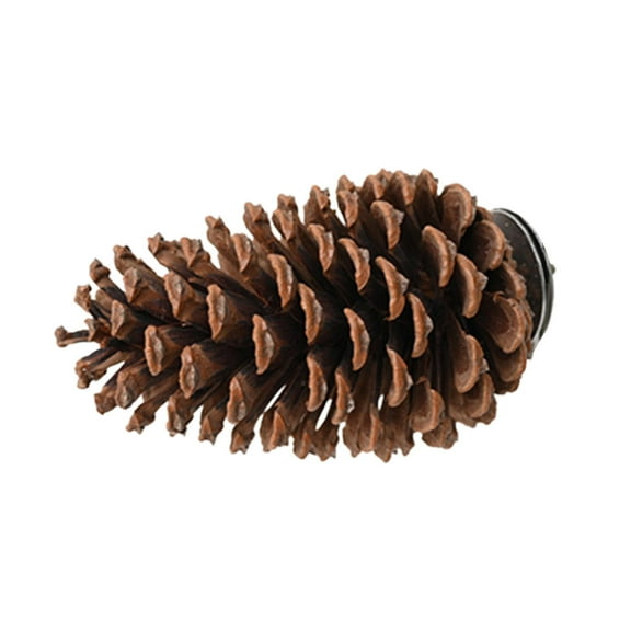 Pinecone Bird Perch Stand, Parrot Stand, Bird Perch, Pinecone, Bird Cage Accessories, Parrot Chew Toys, Paw Grinding Stick, Bird Toys for Parakeets, Bird Perches for Finch, Parakeet
