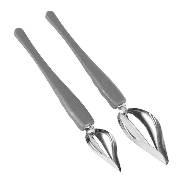 Culinary Drawing Decorating Spoon Set, 2 Pcs Saucier Drizzle Spoons,Decorating Pencil Spoon for Deco
