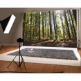 thumbnail image 1 of XDDJA Polyester Fabric Forests Backdrop 7x5ft Trees Fallen Leaves Bright Sunshine Nature Scenery Photography Background Photos Video Studio Props, 1 of 3