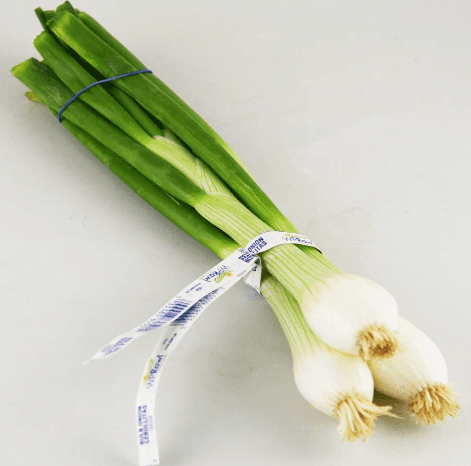 Freshly  Harvested BBQ Green Onions, 1 Bunch