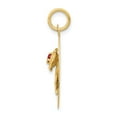 thumbnail image 2 of FB Jewels 14K Yellow Gold Happy Birthday Disc Charm with CZ Flower, 2 of 4