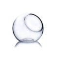 thumbnail image 1 of Jarrón de vidrio WGV con forma de globo redondo transparente de 5,5 cm, 1 of 7
