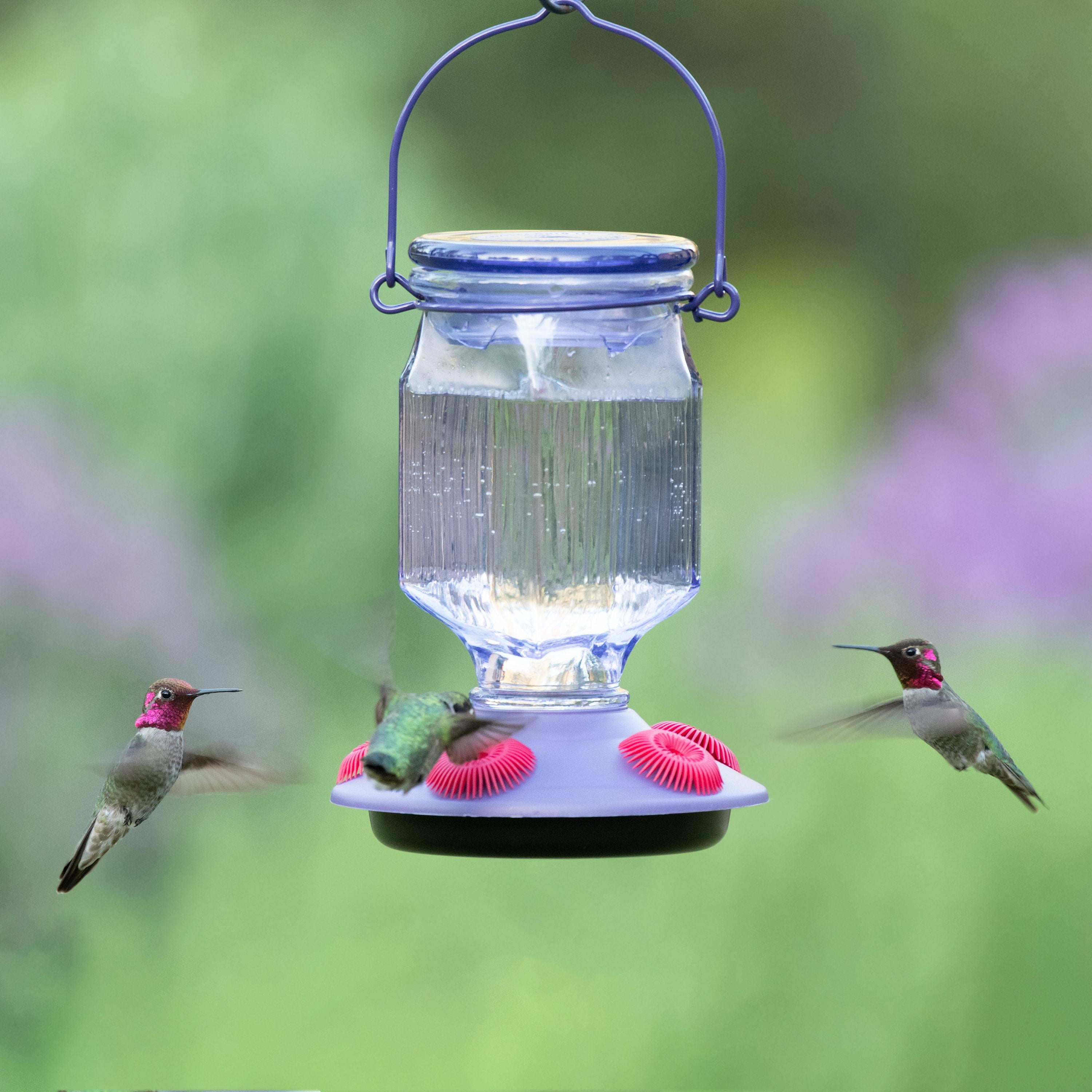Perky-Pet Lavender Field Top-Fill Glass Hummingbird Feeder