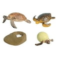 thumbnail image 4 of Juguetes de tortuga de ciclo de vida CUTICAT Conjunto tortuga marina, 4 of 8