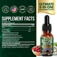 thumbnail image 2 of Parrox Soursop Seamoss Senna Liquid Drops with Moringa, Black Cumin Seed & Ashwagandha Root Extract, 6 in 1 Extra Strength Formula for Daily Wellness Support, Mixed Berry Flavor, 60 Servings, 2 of 9