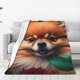 thumbnail image 1 of Balery Colorful Leaf Chihuahua Manta de Felpa Suave y Acogedora – Cobija de Franela Aterciopelada para Cama, Lavable y Cálida para Sofá, Mascotas, Transpirable-60"x50", 1 of 7