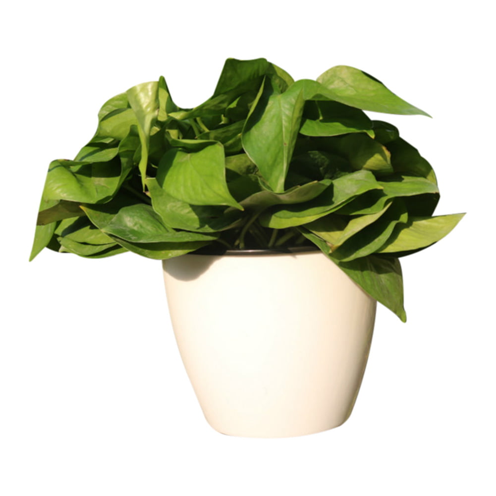 Color: Flower Pot, Sheet Size: Medium Creative Wall-Mounted Plastic Flower Pot Automatic Water-Absorbing Flower Pot Hydroponics Home Wall-Mounted Decoration 