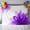 Purple, variant on Red Flower Backdrop for Photoshoot,Photography Photo Studio Background Wall Backdrop,Boho Modern Floral Abstract Ombre Leaf White Back Drop Banner Panel for Portraits Wedding Live Streaming 8x6Ft