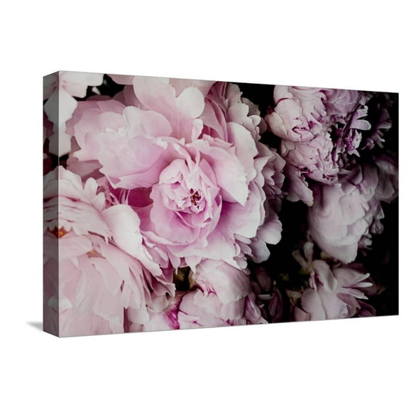 Art.com Peonies Galore I Stretched Canvas Print Wall Art by Elizabeth Urquhart, 18" x 12"