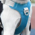 thumbnail image 2 of Breathable and Reflective Chest Harness, Suitable for Medium and Large Dogs, and Can Be Used for Daily Training Vest Harnesses, 2 of 10