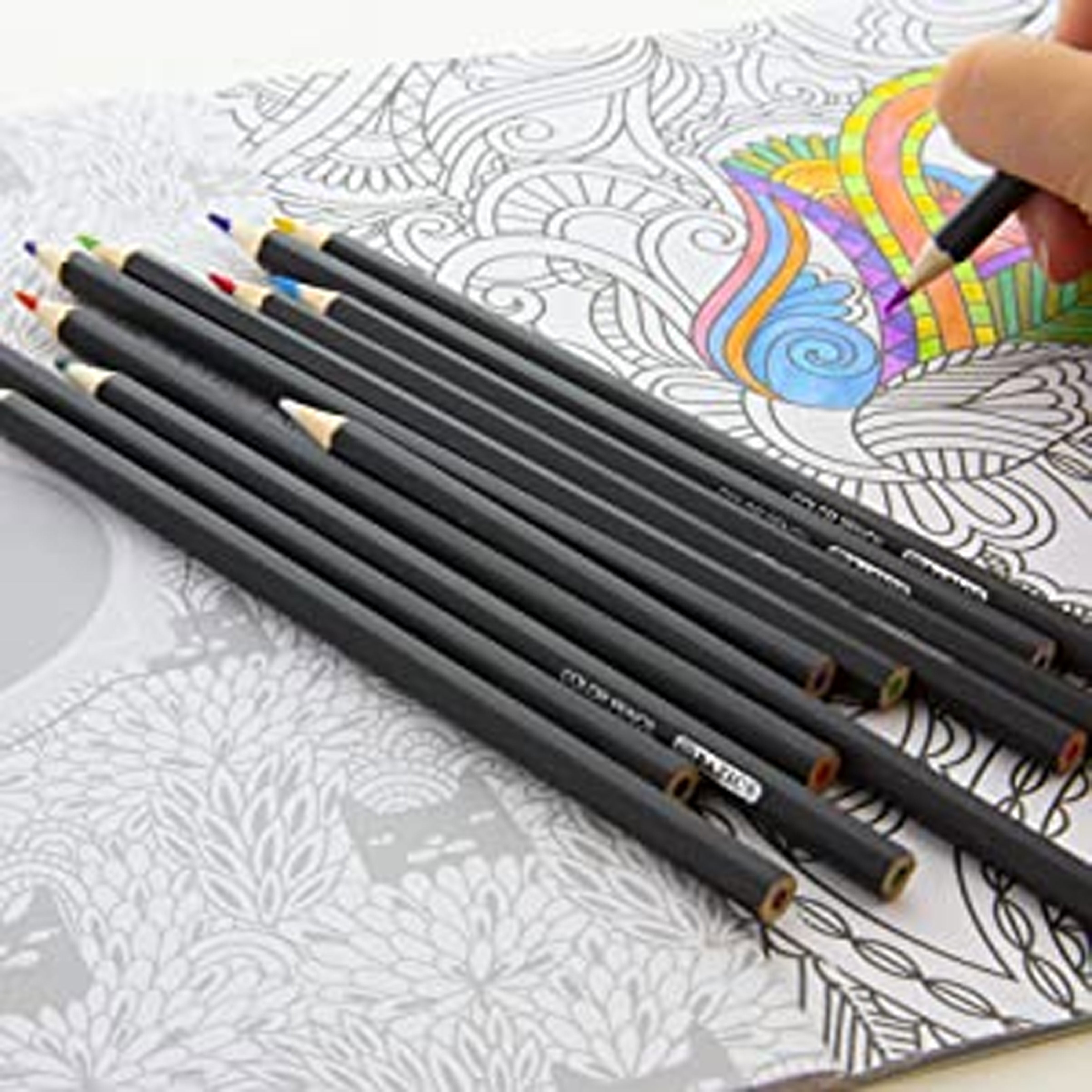 Dream Lifestyle 12-Color Colored Pencils Set for Adults and Kids, Drawing  Pencils for Sketch, Arts, Adult Coloring Books