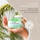 thumbnail image 2 of Mascarilla facial nocturna Doppeltree RENEW con aloe vera y ácido hialurónico, 2 of 6