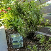 Havahart X-Small 2-Door Small Animal Trap