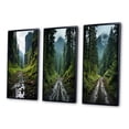thumbnail image 3 of Designart "Olympic National Park River USA s Scenic Beauty" Landscapes Framed Wall Art Set Of 3 - Green Usa Frame Gallery Set For Office Decor, 3 of 7