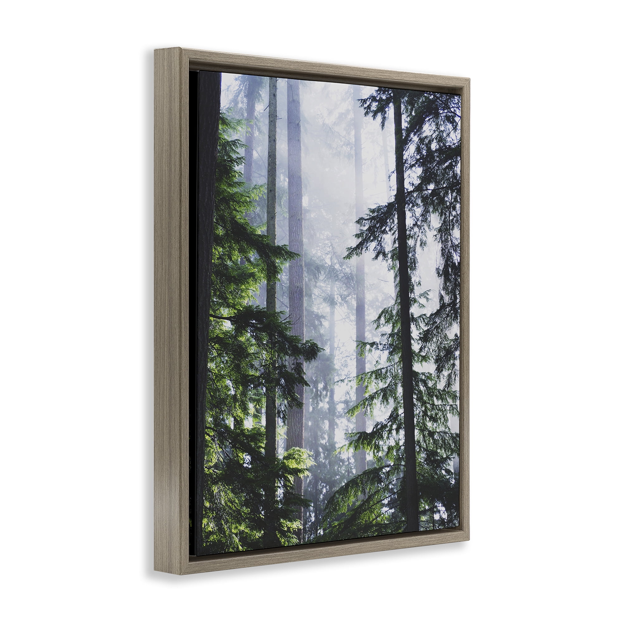 Stupell Industries Foggy Forest View Landscape Photography Brown Floater Framed Art Print Wall Art, 17 x 21