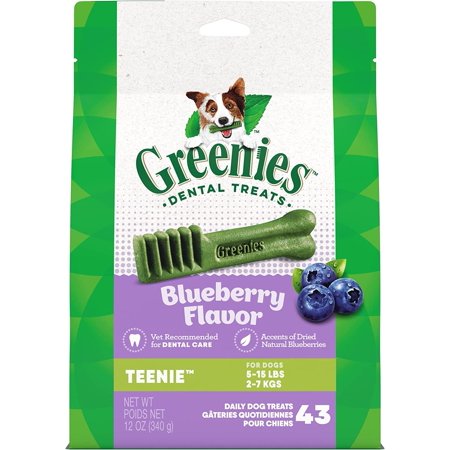 Gn Flavors Blueberry 12oz Teenie 43ct