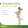 thumbnail image 5 of Vetoquinol Nutri-Cal High Calorie Nutritional Oral Gel Supplement for Dogs and Cats, 4.25oz, 5 of 7