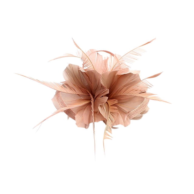 TISHITA Vintage Feather Fascinator 1920s Great Hair Clips Pink