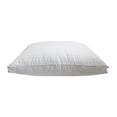 thumbnail image 2 of ALMOHADA ESTANDAR CON FUELLE Y CORDÒN, 2 of 5