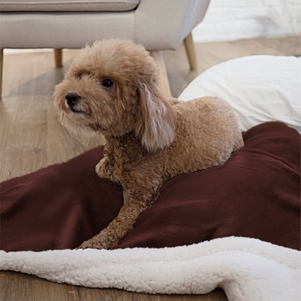 PetAmi Waterproof Dog Blanket for Small Medium Dog Puppy Cat Throw for Couch Cover Leakproof Protection, Sherpa Fleece, Reversible Soft Washable 29x40 Brown