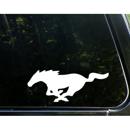Mustang - 9