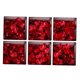 thumbnail image 5 of 2x 6 Unidades de de Seguridad Adhesiva Mat Apliques de Bañera, Etiqueta de Calcomanías Decorativas Papel de Pared para Accesorios D perfecl Pegatinas antideslizantes para bañera, 5 of 7