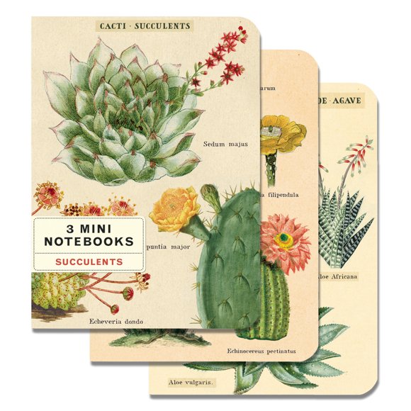 Ntbk Mini Succulents Set/3