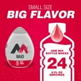 thumbnail image 4 of 2X-MiO Fruit Punch Liquid Water Enhancer Water Flavoring Drink Mix - 1.62 fl oz, 4 of 5