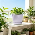 thumbnail image 6 of Gumesh 4 Inch Plant Pots,Indoor Flower Pots, Planters with Drainage Holes and Trays for Orchids, Violets, Succulents, Herbs, and Other Plants,White, 6 of 6