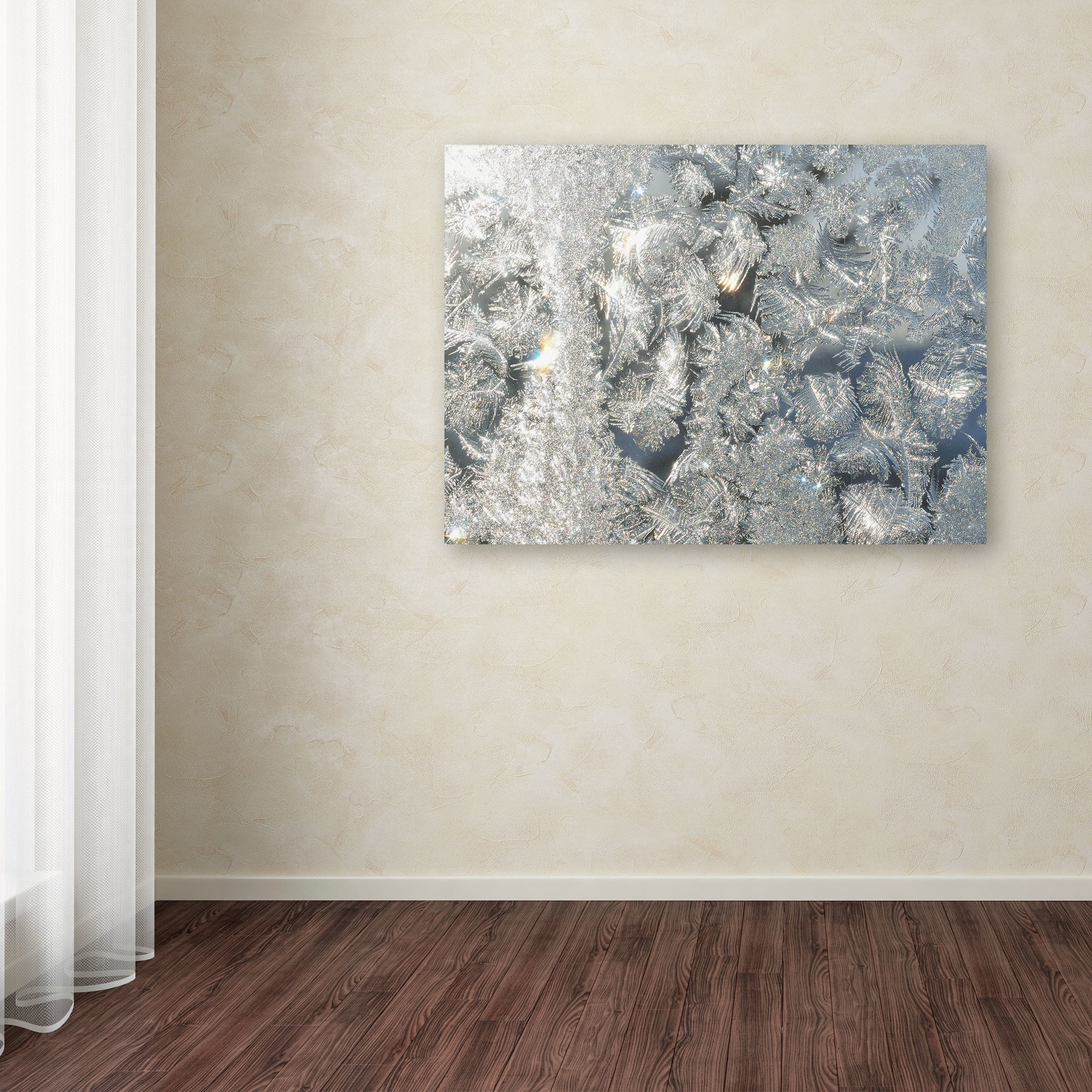 Trademark Fine Art "Frost Pattern in the Sun" Canvas Art by Kurt Shaffer