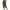 Army Green -CC03, variant on Nestiefly Cotton Linen Capri Pants for Women Loose Straight Leg Drawstring Elastic Waist Cropped Pant Casual Summer Clothes White S
