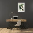 thumbnail image 3 of Audubon, John James 18x24 White Modern Wood Framed Museum Art Print Titled - Summer, or Wood Duck, 3 of 4