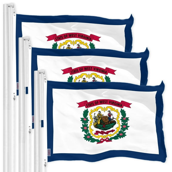 G128 3 Pack: West Virginia WV State Flag | 3x5 Ft | LiteWeave Pro Series Printed 150D Polyester | Indoor/Outdoor, Vibrant Colors, Brass Grommets, Thicker and More Durable Than 100D 75D Polyester