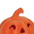 thumbnail image 2 of Halloween Themed Orange Flocking PMPKN For Halloween Indoor Decorations, 2 of 4