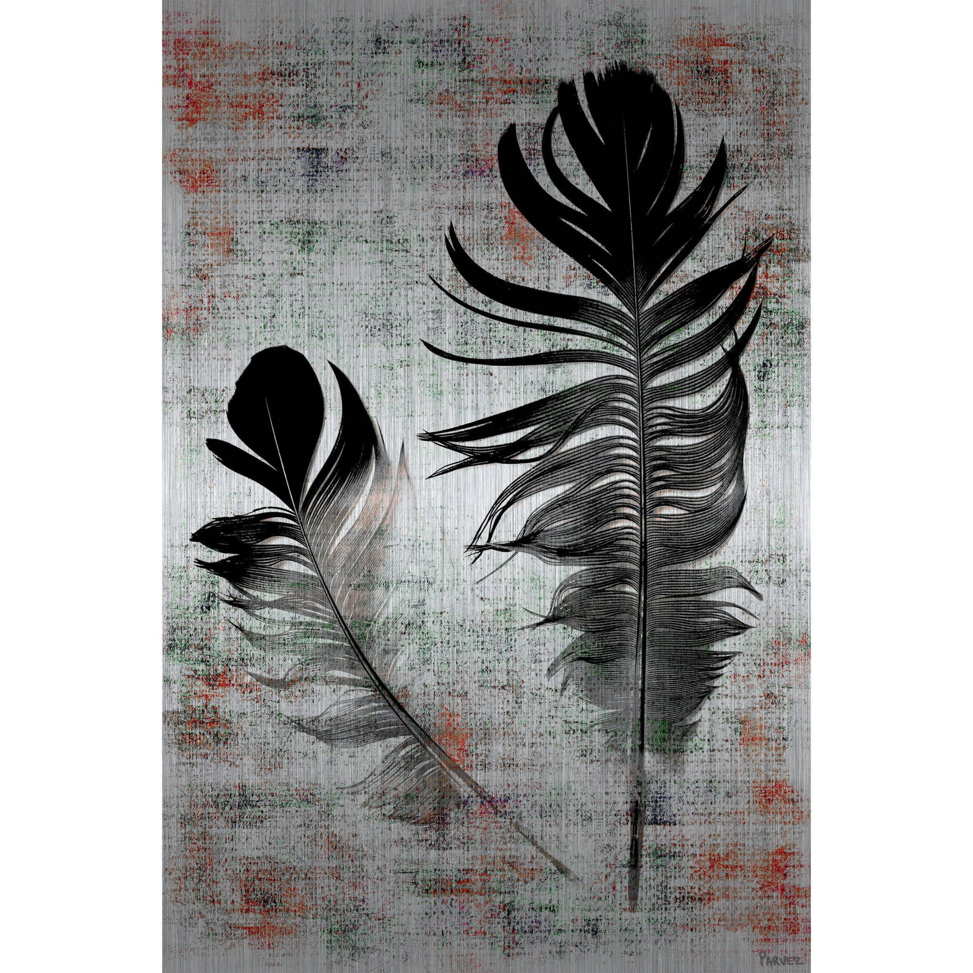 Parvez Michel Inc Parvez Taj - Black Feathers Painting Print on Brushed Aluminum