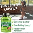 thumbnail image 6 of NATURELO&nbsp;Calcium&nbsp;Supplement - Vitamin C,&nbsp;Vitamin D3, K2, & Ca Magnesium Zinc for Bone Strength with Calcium 600mg - Plant-Based, 120 Vegetarian Capsules, Non-GMO, Soy & Gluten-Free, 6 of 6