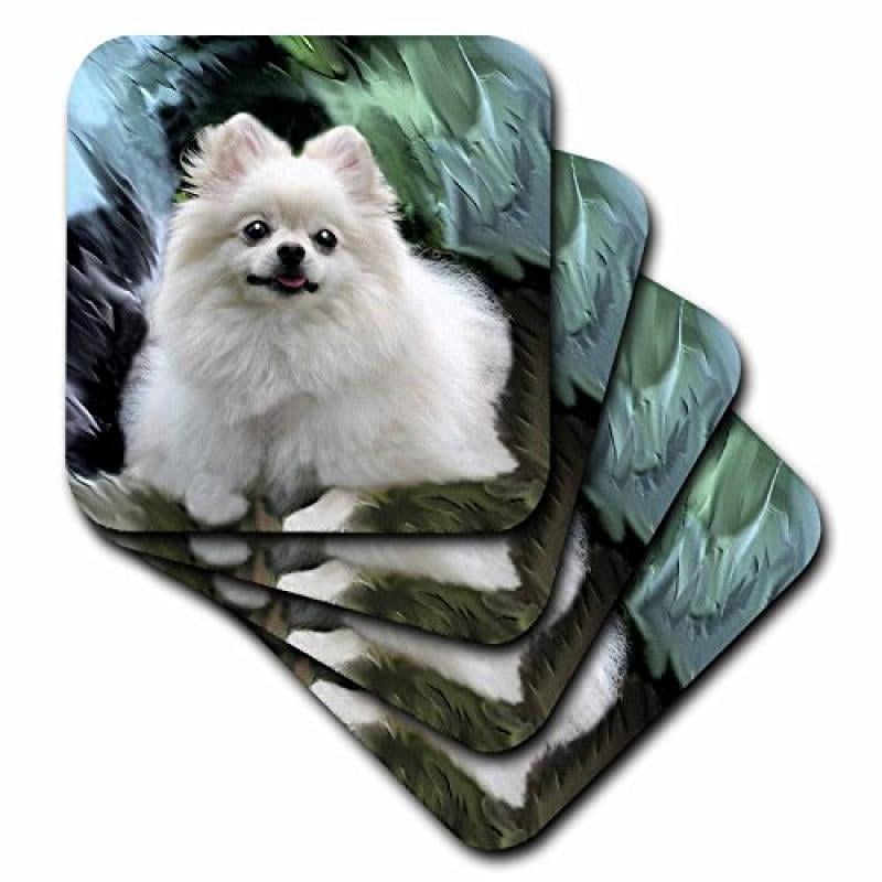 3dRose CST/_96464/_3 Washington Pacific Harbor Seal Pup-Us48 Kwi0009-Kymri Wilt-Ceramic Tile Coasters Set of 4