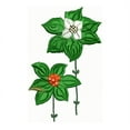 thumbnail image 4 of Threadart Machine Embroidery Design Bundles - Plant Sets - Wildflowers(1) - Loaded on USB Stick - 7 Sets Available, 4 of 6