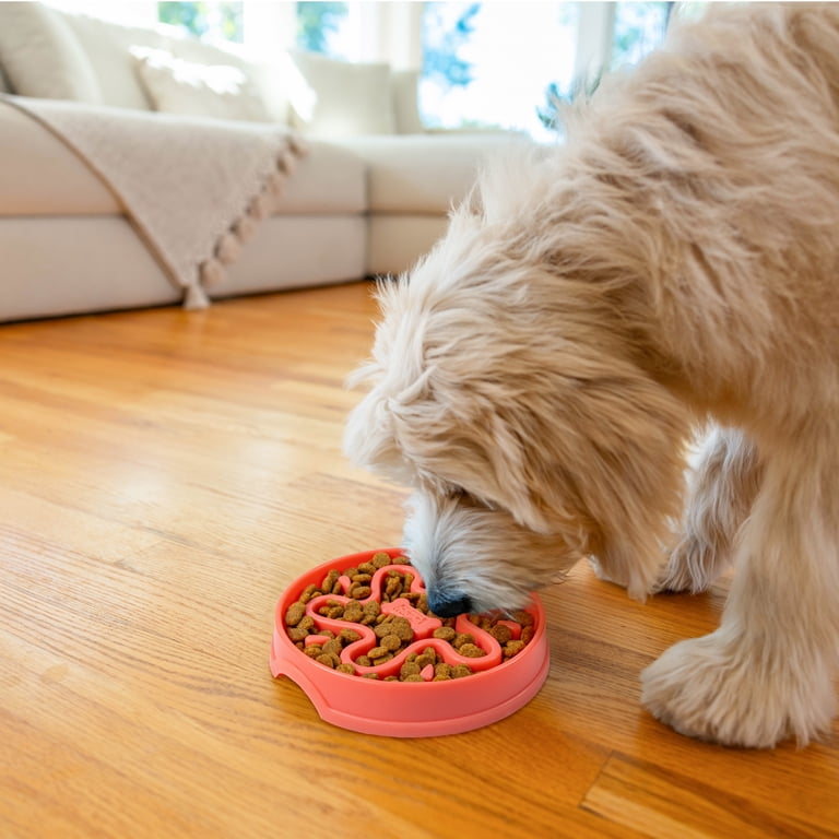 Outward Hound Fun Feeder Slo Bowl Star, Small, Red photo 6