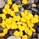 thumbnail image 1 of 100 Piezas De Simulación Amarilla Cebos Suaves De Maíz Señuelos De Pesca Cebos Flotantes Cebo Herramienta De Pescado Con Agradable Aro Baoblaze Señuelos de pesca de maíz, 1 of 8