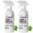 thumbnail image 1 of Aerosol repelente de arañas Mighty Mint, aceite de menta, 240 ml, paquete de 2, 1 of 7