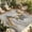 Gray, variant on 4' x 6' Outdoor Rug, Sea Turtle Coastal Outdoor Washable Rug Large Floor Carpet, Summer Beach Coral Ocean Nautical Non Shedding Area Rug for Outside, Patio, RV, Porch, Deck, Balcony, Camping