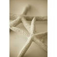 thumbnail image 3 of Millet, Karyn 11x14 Black Modern Framed Museum Art Print Titled - Ocean Treasures V, 3 of 5