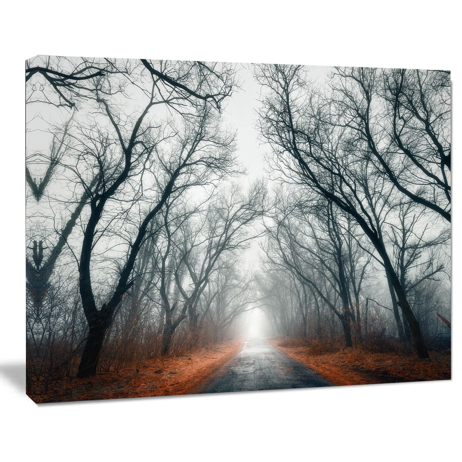 Design Art Mystic Road in Forest Landscape Photo Canvas Print