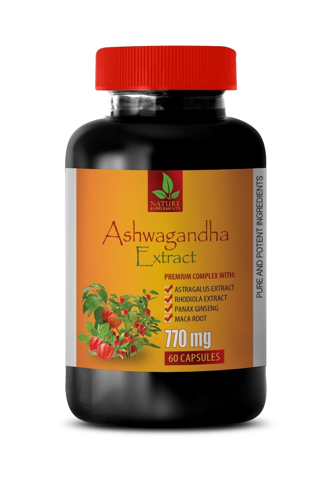 Ashwagandha Complex Astragalus and Ashwaganda 1 Bottle