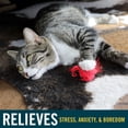 thumbnail image 4 of Juguete para gatos OurPets Play-N-Squeak Real Birds con hierba gatera y sonido, 4 of 4
