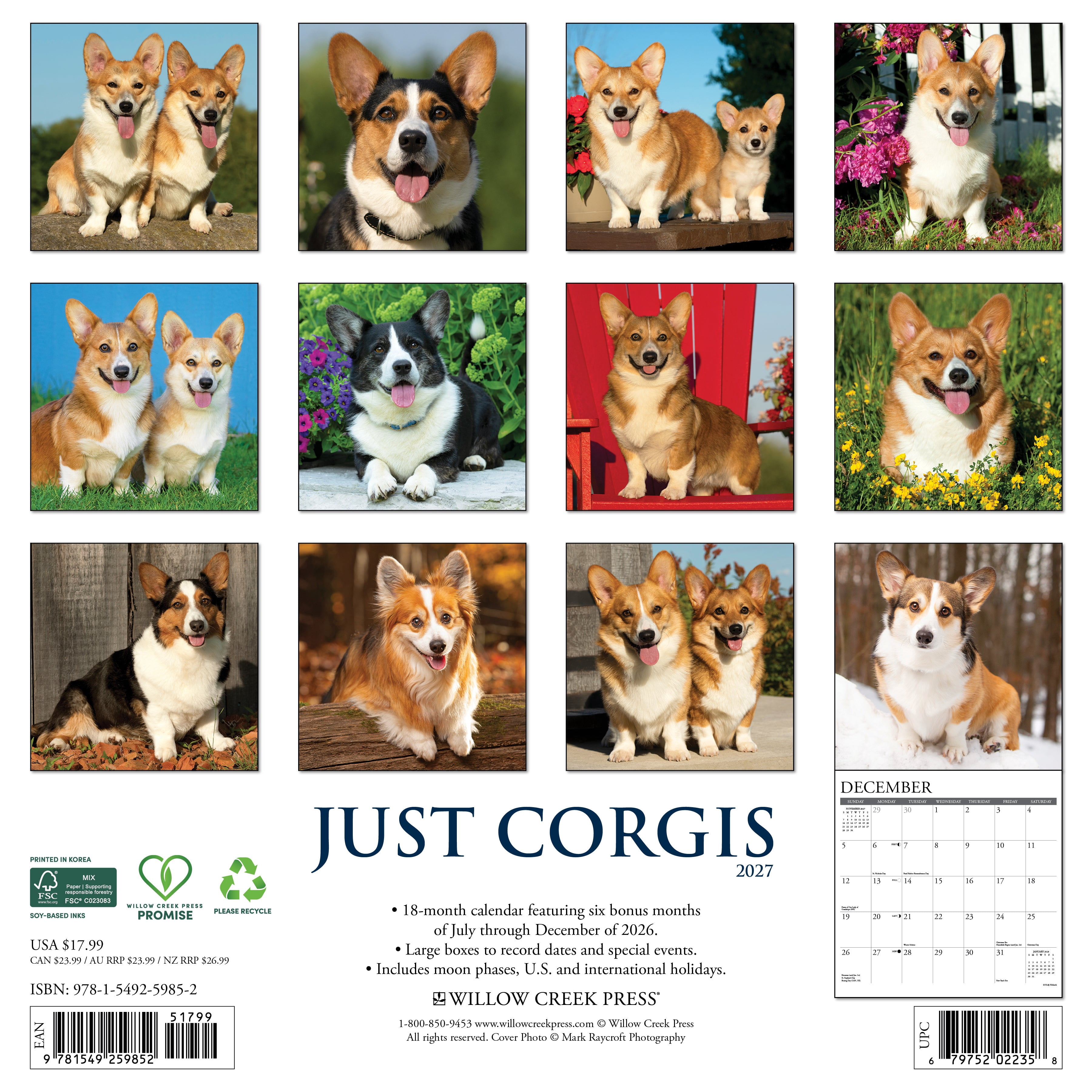 Willow Creek Press, Corgis 2027 Wall Calendar